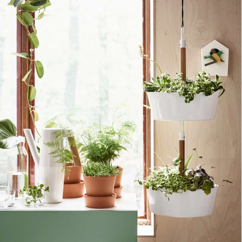 Ikea_hanging_planter.jpg