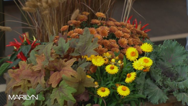 Two Fall Planters To That Will Bring Colour To Your Outdoor D Cor   Img 