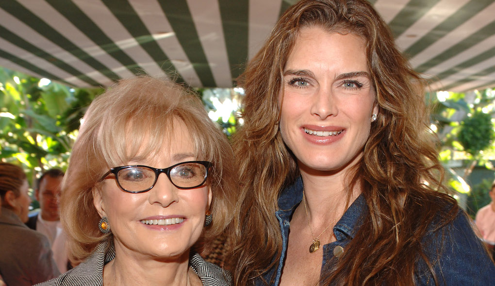 Brooke Shields Calls Infamous Barbara Walters Interview ‘practically Criminal 