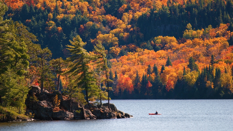 Best spots for colourful fall leaves in Canada