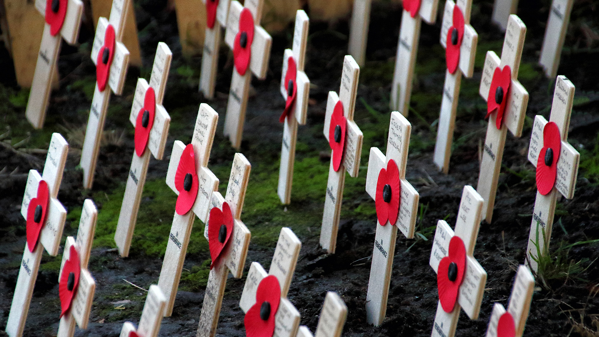 This year, you can buy a digital poppy to support Canada’s Veterans