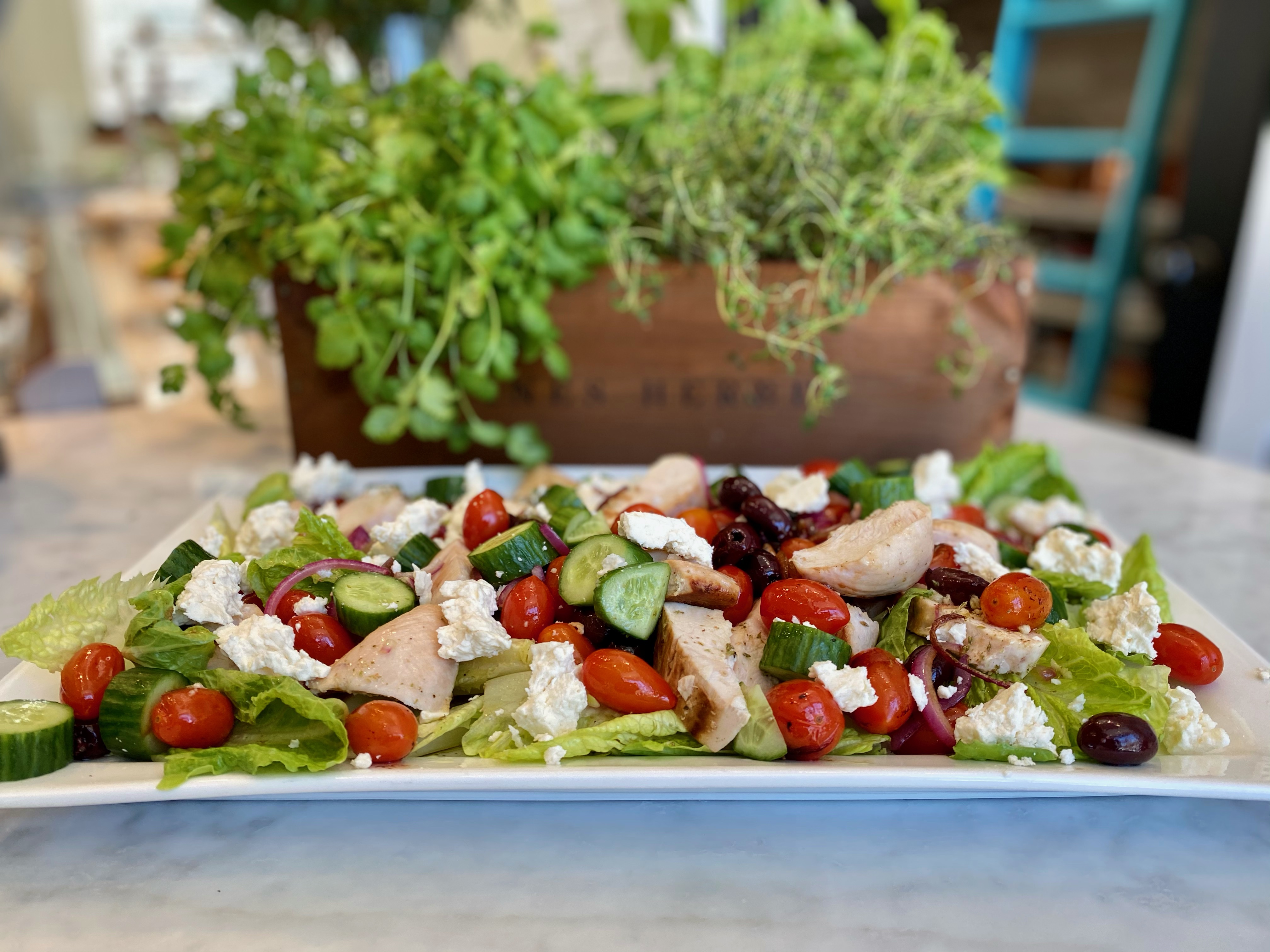 Warm Greek chicken salad