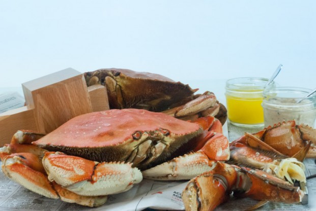 Dungeness crab with clarified butter and Mediterranean sauce
