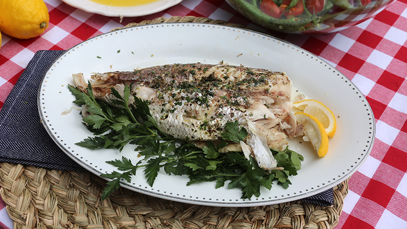Greek style grilled white snapper