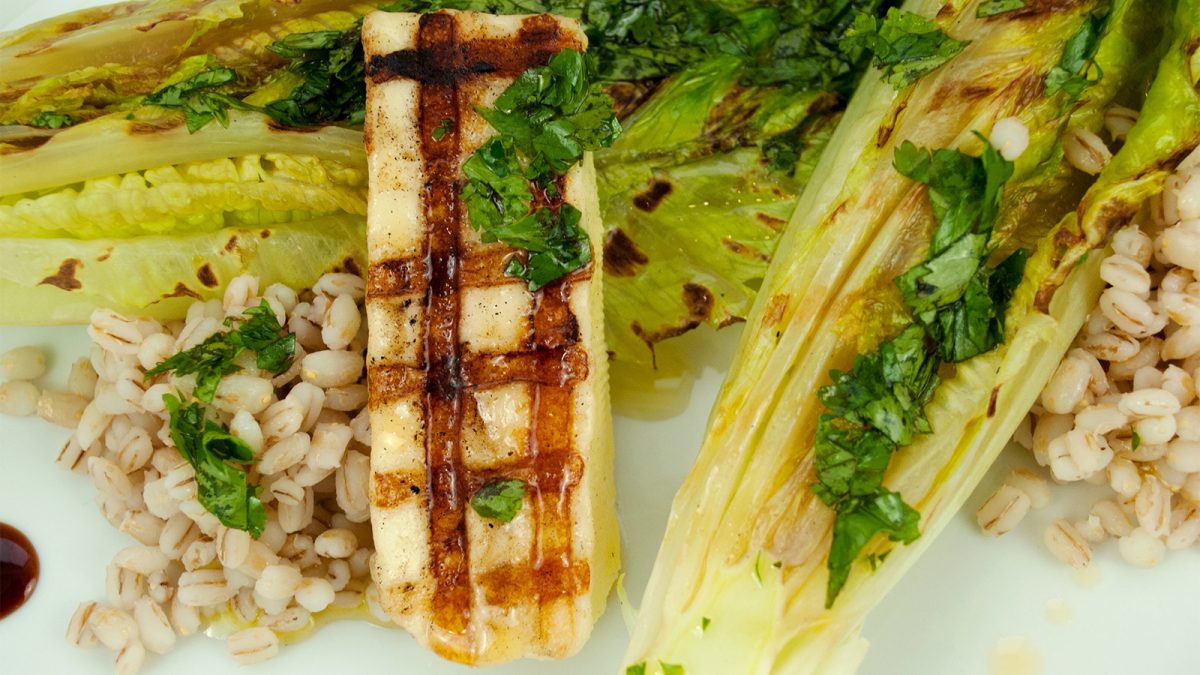 Grilled romaine with barley and halloumi