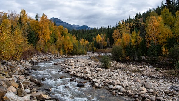 Tourism Valemount