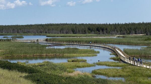 Greenwich Dunes – Floating Boardwalk Adventure