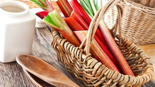 Recipes For Rhubarb Season