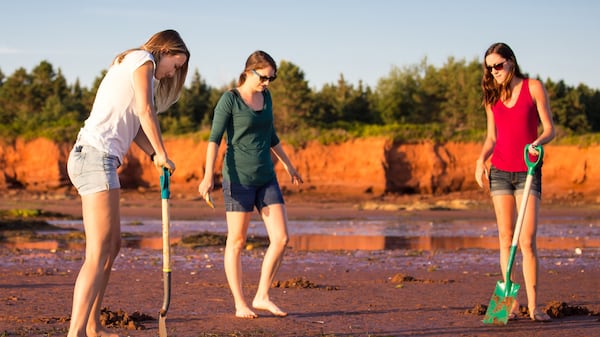 Clam Digging Experiences – PEI North Shore