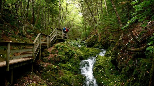 Fundy National Park – Waterfalls & Tidal Coast