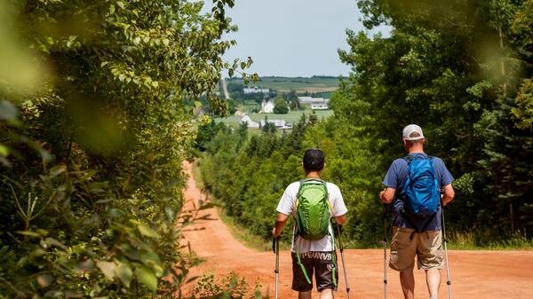 Island Walk – Self‑Guided Island Adventure