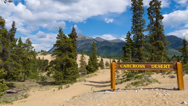Carcross Desert – Carcross