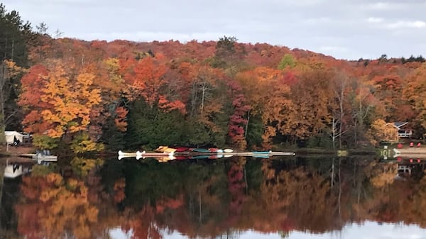 Algonquin Provincial Park