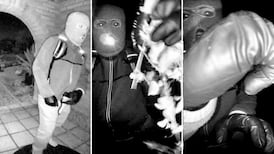 Suspect detained for questioning in the disappearance of Nancy Guthrie, AP sources say