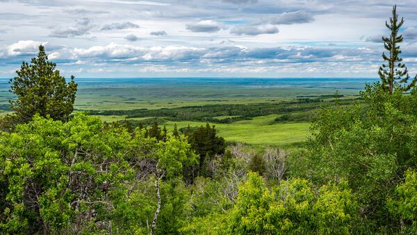 Cypress Hills Interprovincial Park 
