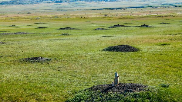 Grasslands National Park – Southern Saskatchewan