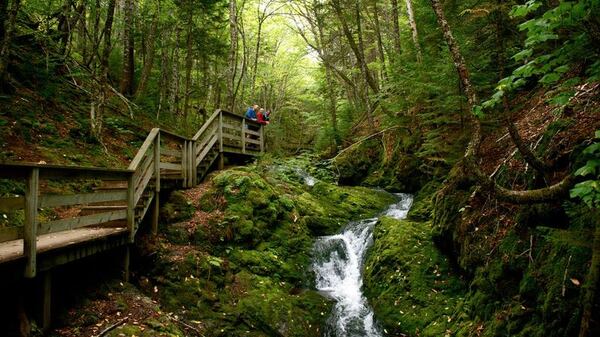 Fundy National Park – Waterfalls & Tidal Coast