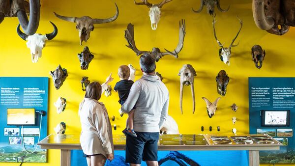 Yukon Beringia Interpretive Centre – Whitehorse