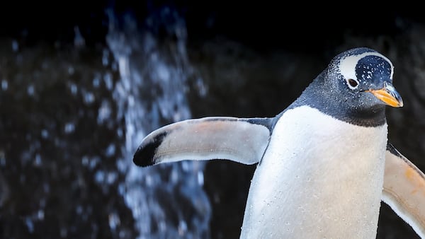 Calgary Zoo - Calgary
