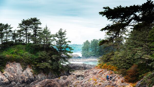 Pacific Rim National Park Reserve - Tofino/Ucluelet